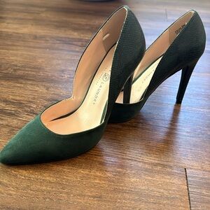 Chinese laundry forest Green print